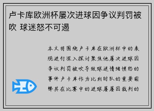 卢卡库欧洲杯屡次进球因争议判罚被吹 球迷怒不可遏